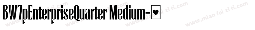 BW7pEnterpriseQuarter Medium字体转换